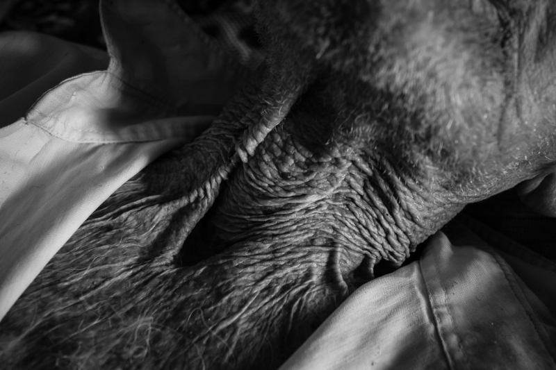 Days of KhirolAllah Asghari